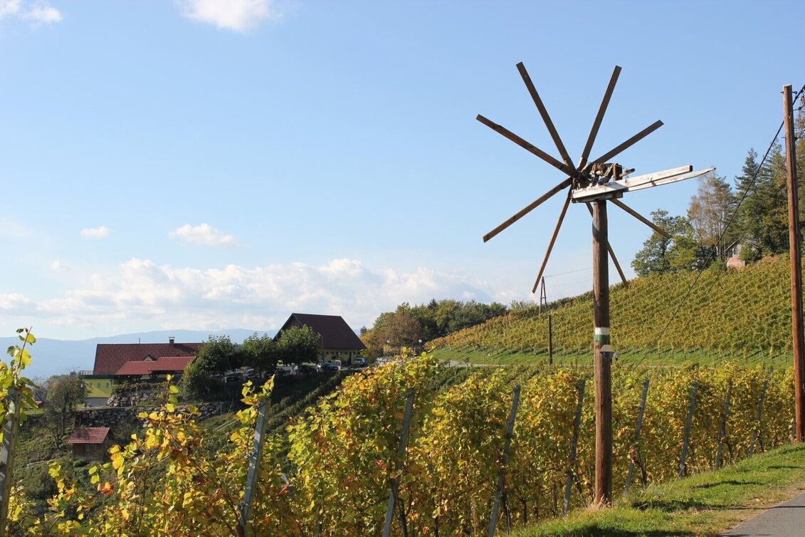 Cycling Cycling for pleasure - Wine Road Tour Variant 1 - "Kranachberg-Heimschuh" - Touren-Impression #1 | © Erlebnisregion Südsteiermark