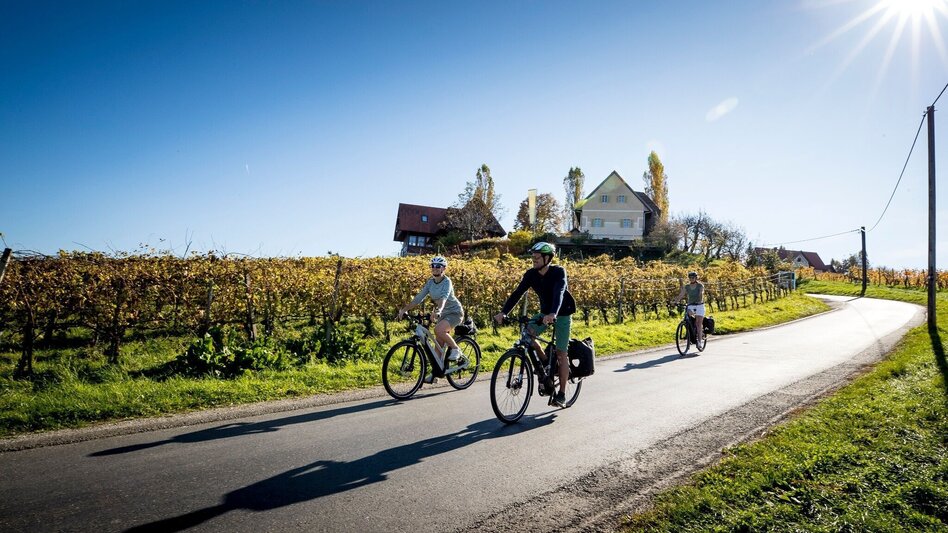 Cycling Cycling for pleasure - Wine Road Tour Variant 1 - "Kranachberg-Heimschuh" - Touren-Impression #2.4 | © TVB Südsteiermark / Steiermark Tourismus Tom Lamm