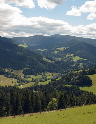Metnitztal (Kirche Maria Höfl) | Marktplatz Mittelkärnten | © Mittelkärnten