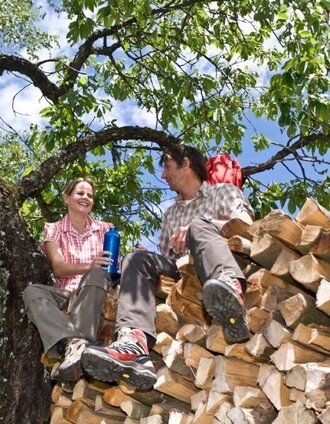 Rast am Holzstapel | © Südsteiermark