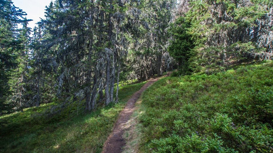 Hiking Route From Planai to Schladming - Touren-Impression #2.5 | © Gerhard Pilz - www.gpic.at