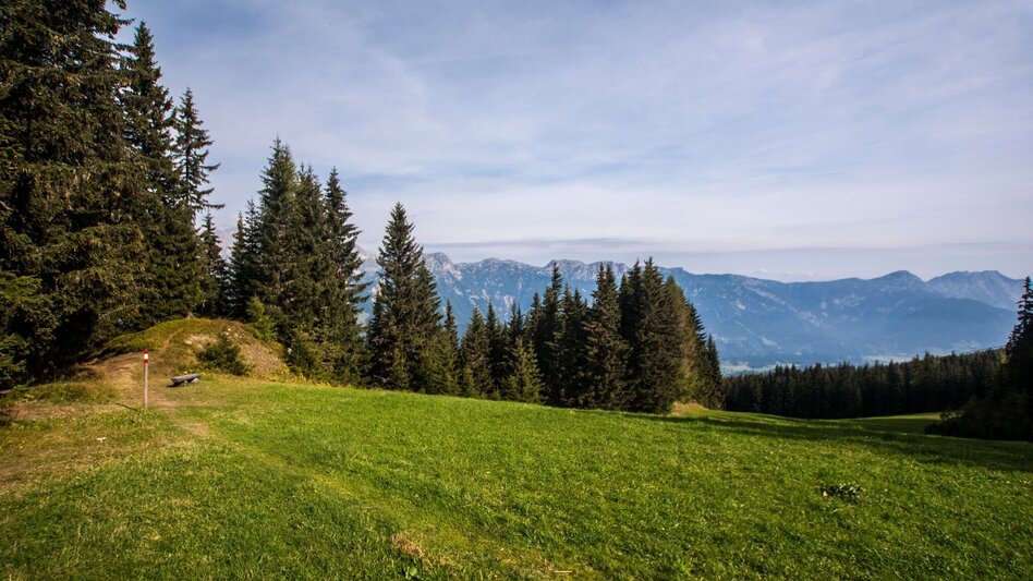 Hiking Route From Planai to Schladming - Touren-Impression #2.9 | © Gerhard Pilz - www.gpic.at