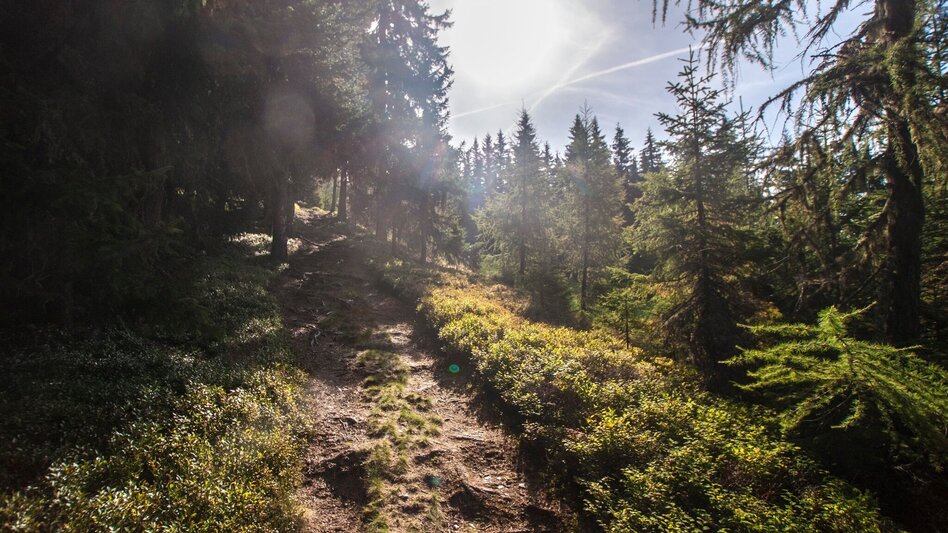 Hiking Route From Planai to Schladming - Touren-Impression #2.10 | © Gerhard Pilz - www.gpic.at