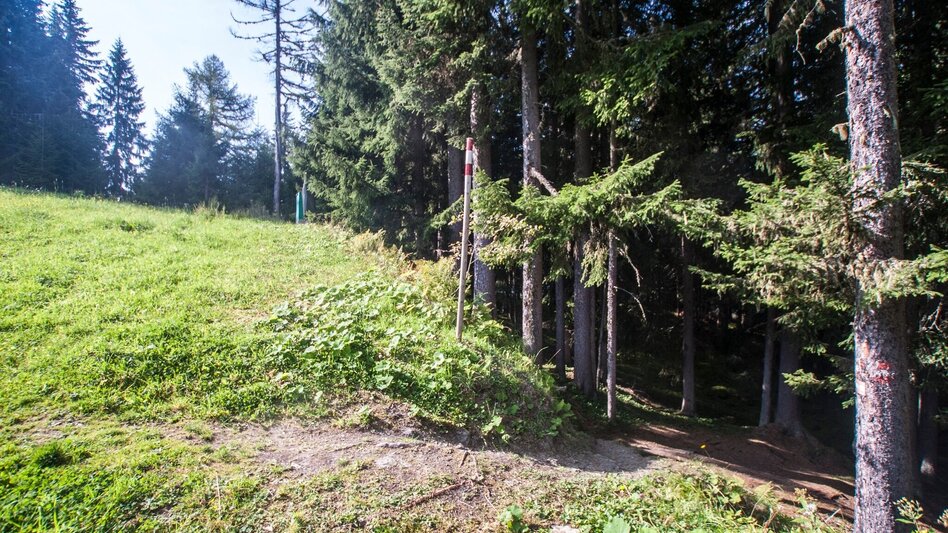 Hiking Route From Planai to Schladming - Touren-Impression #2.11 | © Gerhard Pilz - www.gpic.at
