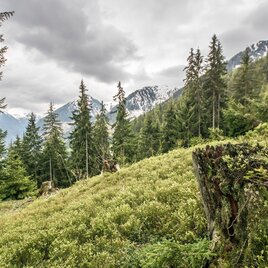 View from trails 61/773 towards Obertal valley | © Tourismusverband Schladming