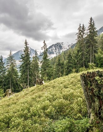 View from trails 61/773 towards Obertal valley | Gerhard Pilz | © Tourismusverband Schladming
