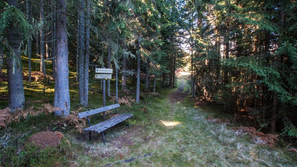 Wanderung Von der Hochwurzen nach Untertal-Dorf - Touren-Impression #2.3 | © Gerhard Pilz