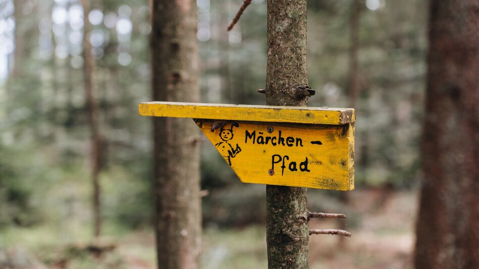 Hiking Route To the fairytale meadow, Fischbach - Touren-Impression #2.6 | © Oststeiermark Tourismus