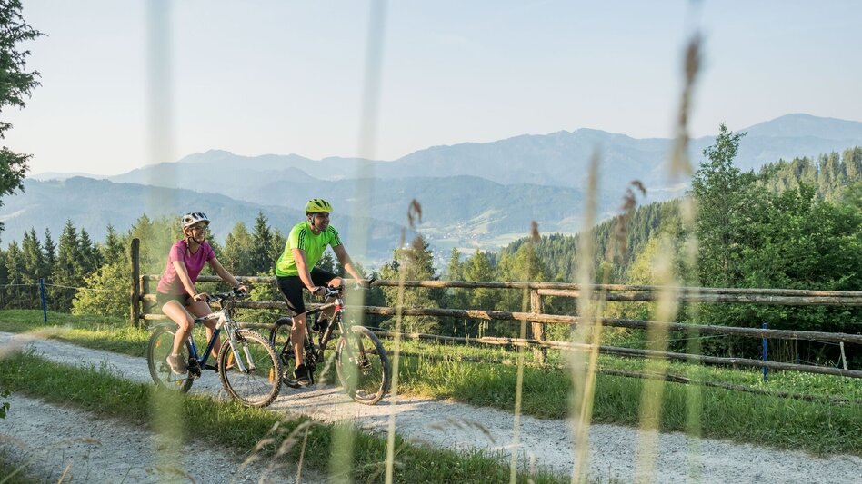 Mountain Biking K3 - Zeller Tour (Mountain Bike Route Kindberg 3) - Touren-Impression #2.1 | © TV Mürztaler Streuobstregion