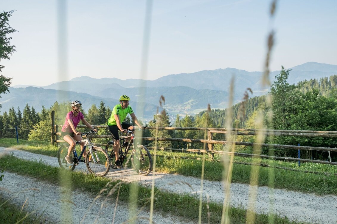 Mountain Biking K3 - Zeller Tour (Mountain Bike Route Kindberg 3) - Touren-Impression #1 | © TV Mürztaler Streuobstregion