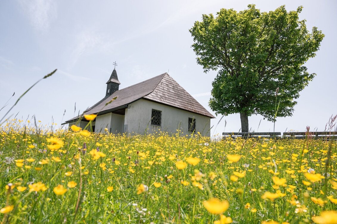 Wanderung 30er Runde - Touren-Impression #1 | © Tourismusverband Murau