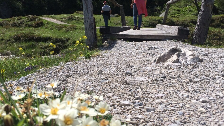 Water Trail Ursprungalm Walk - Spring of Senses - Touren-Impression #2.3 | © Katrin Hutegger
