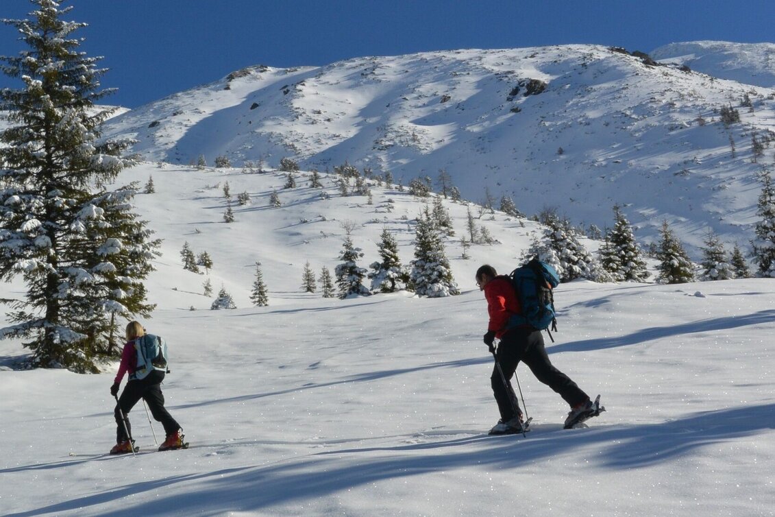 Skitour Skitour - Kerschkern - Der Liebling in den Triebener Tauern - Touren-Impression #1 | © Erlebnisregion Murtal