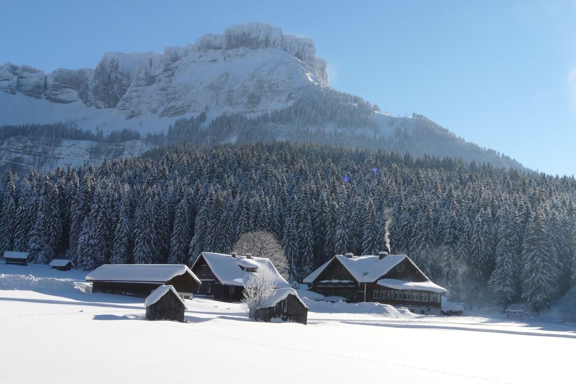 Ski-Nordic Skating Blaa Alm - Rettenbach trail - Touren-Impression #1 | © Tourismusverband Ausseerland Salzkammergut
