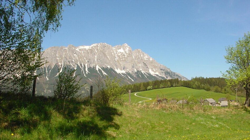 Nordic Walking Bewegungsarena - Marathonrunde (M1) - Touren-Impression #2.5 | © Erlebnisregion Schladming-Dachstein