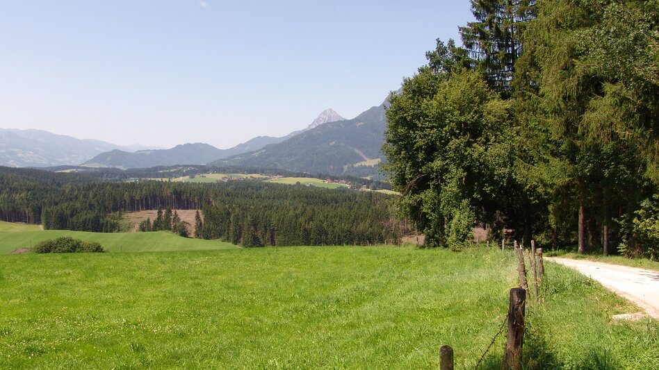 Nordic Walking Bewegungsarena - Marathonrunde (M1) - Touren-Impression #2.10 | © Erlebnisregion Schladming-Dachstein