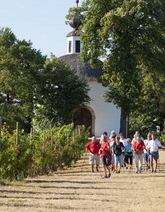 Nordic Walking zwischen den Weingärten | Werner Krug | © Thermen- & Vulkanland