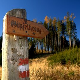 Kurz vor dem Madereckgipfel | © TV Hochsteiermark
