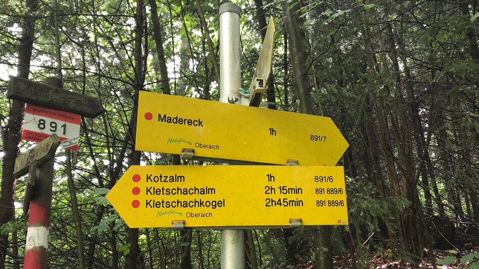 Wanderung Von St. Dionysen/Bruck auf die Kotzalm - Touren-Impression #2.3 | © TV Hochsteiermark