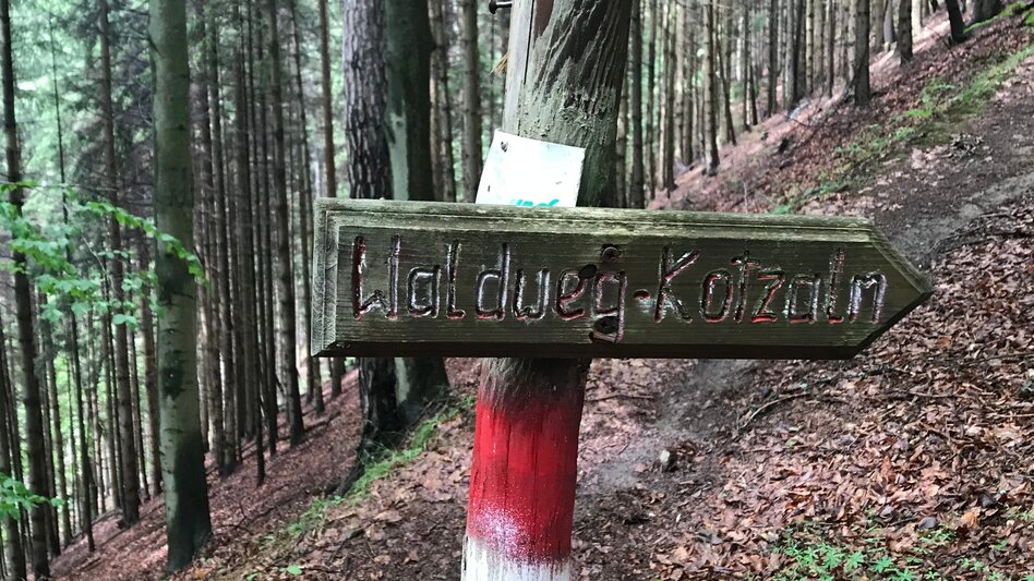 Wanderung Von St. Dionysen/Bruck auf die Kotzalm - Touren-Impression #2.4 | © TV Hochsteiermark