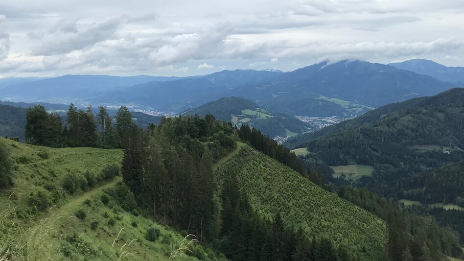 Wanderung Von St. Dionysen/Bruck auf die Kotzalm - Touren-Impression #2.5 | © TV Hochsteiermark