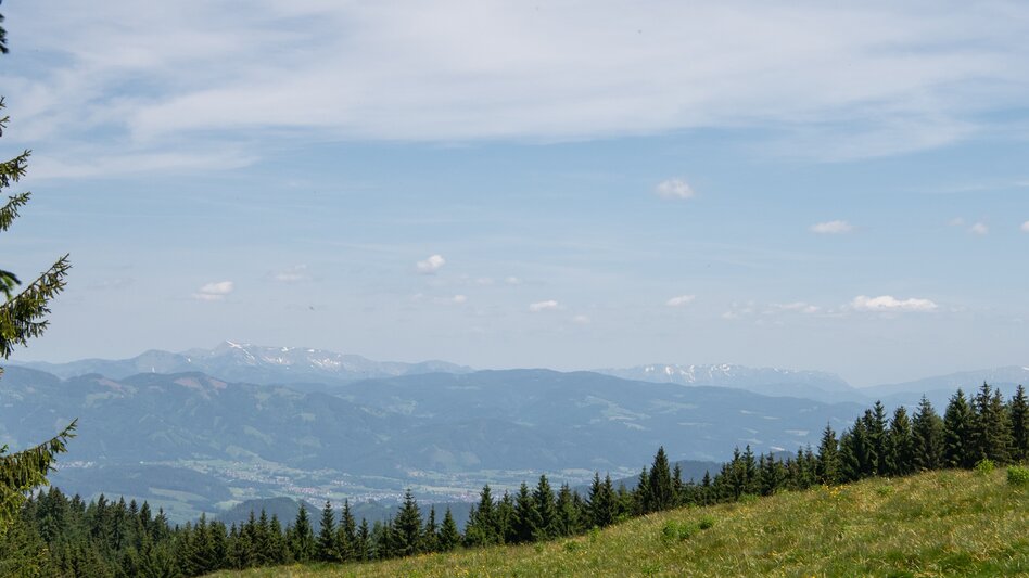 Wanderung Brucker Heubergrunde - Touren-Impression #2.2 | © Tourismusverband Bruck an der Mur