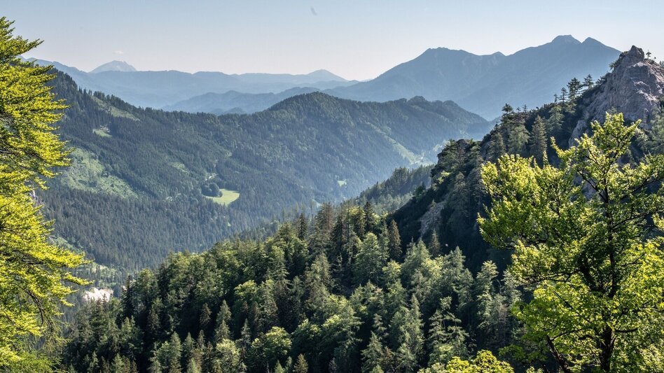 Bergtour Buchberg Wildalpen - Touren-Impression #2.8 | © TV Gesäuse
