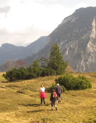 Hochplateau mit Blick auf Gr.Geiger | Christian Scheucher | © TV Gesäuse