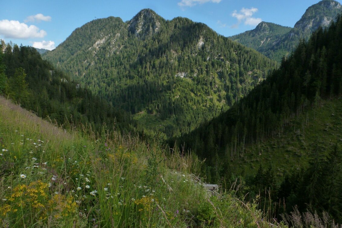 Wanderung Höhenweg Wildalpen - Hinterwildalpen - Touren-Impression #1 | © Tourismusverband Wildalpen