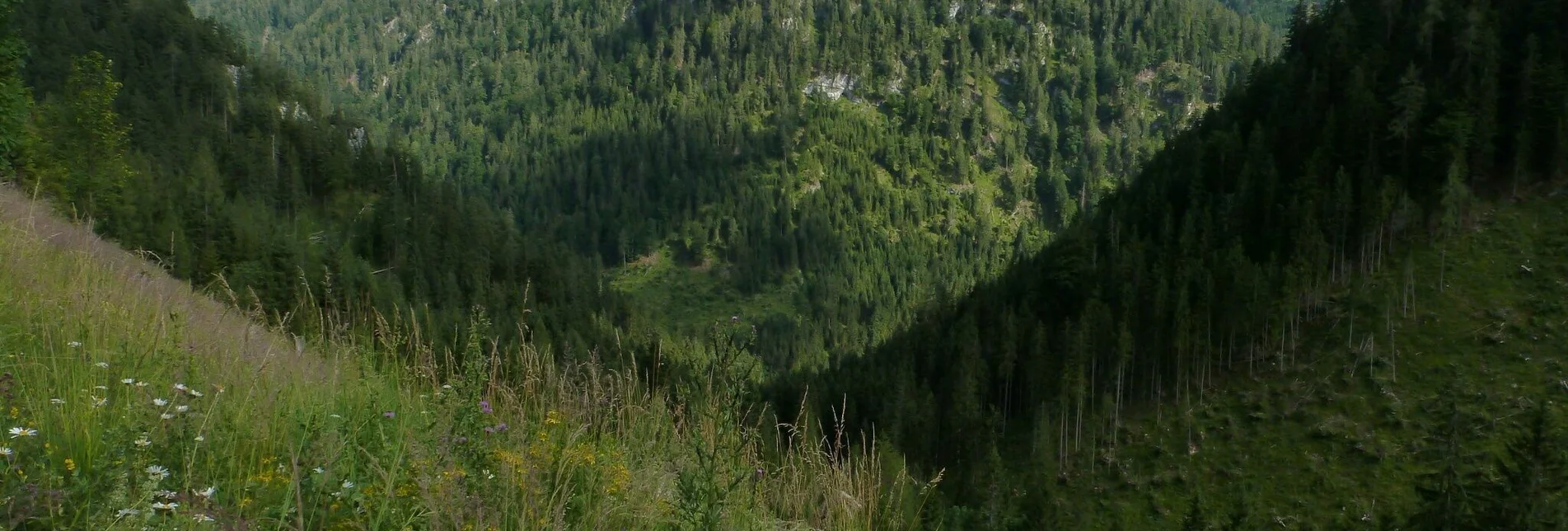 Wanderung Höhenweg Wildalpen - Hinterwildalpen - Touren-Impression #1 | © Tourismusverband Wildalpen