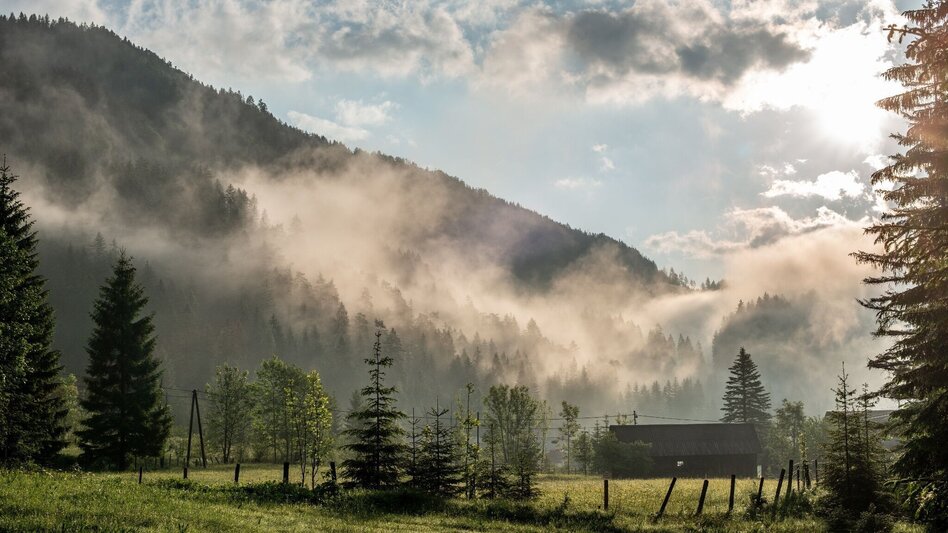 Wanderung Höhenweg Wildalpen - Hinterwildalpen - Touren-Impression #2.7 | © TV Gesäuse