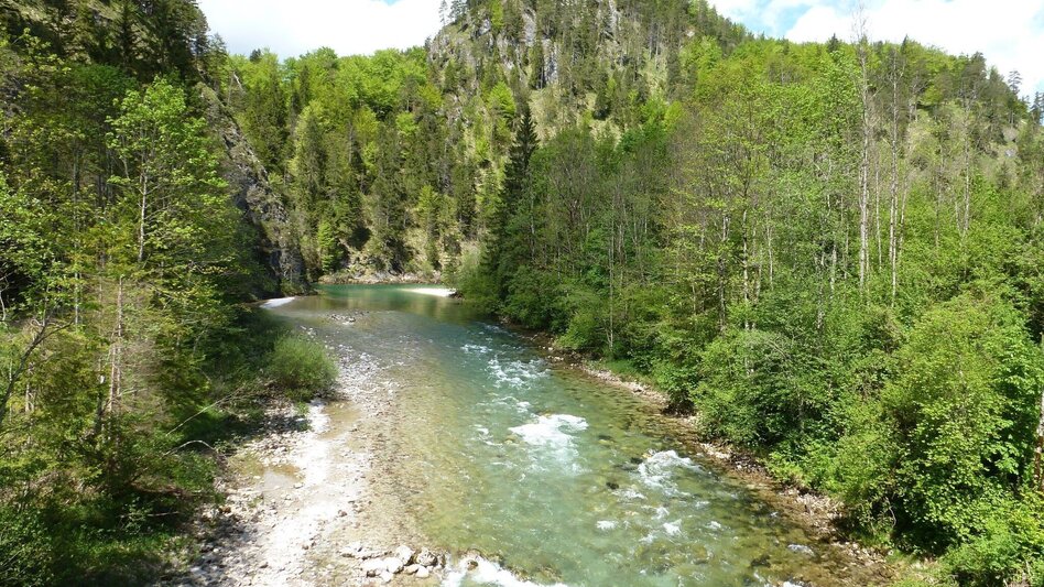 Wanderung Hopfgartenrunde Wildalpen - Touren-Impression #2.2 | © Tourismusverband Wildalpen
