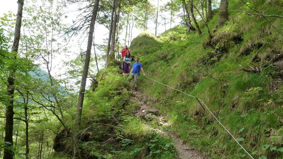 Hiking Route Kräuterhalsrunde Wildalpen - Touren-Impression #2.1 | © Tourismusverband Wildalpen