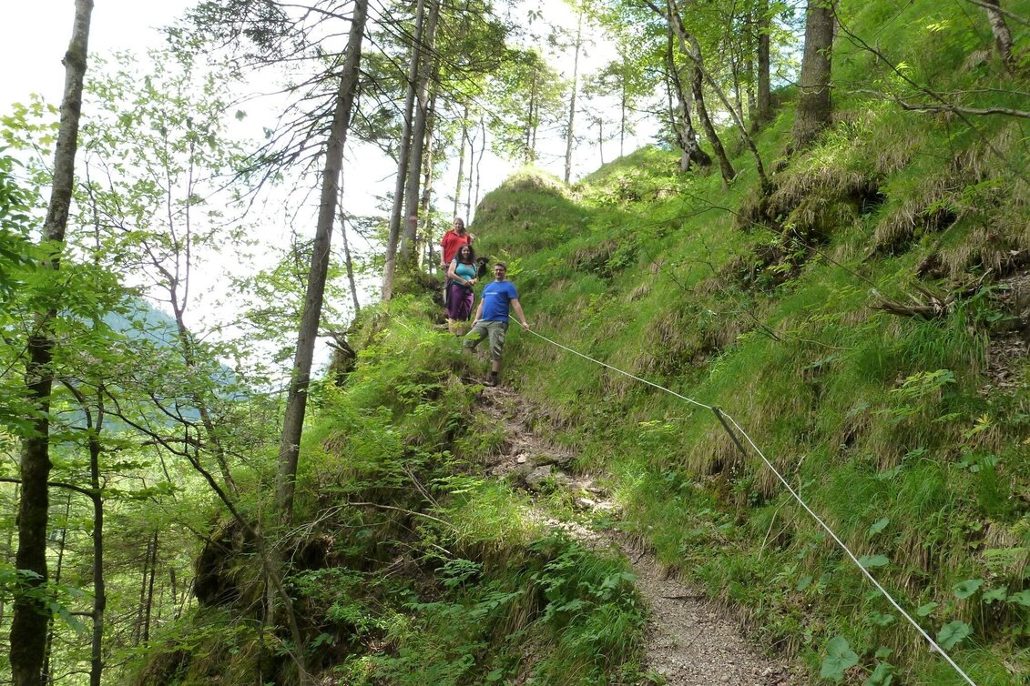 Hiking Route Kräuterhalsrunde Wildalpen - Touren-Impression #1 | © Tourismusverband Wildalpen
