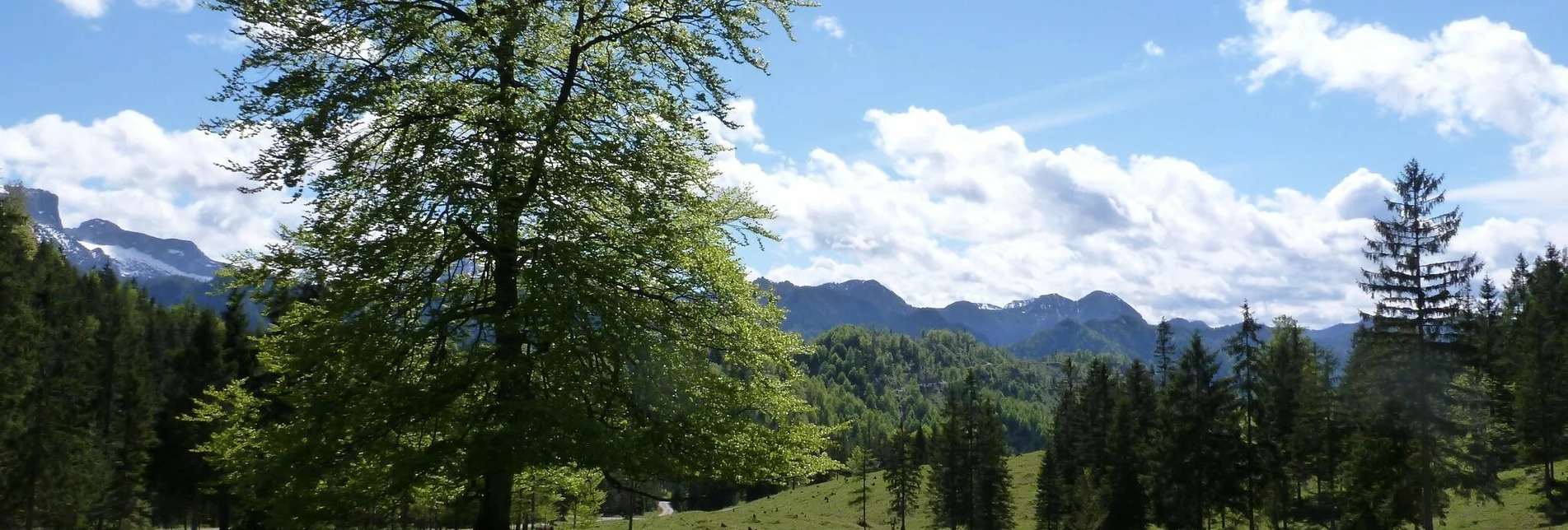 Wanderung Krumpenrunde Wildalpen - Touren-Impression #1 | © TV Gesäuse