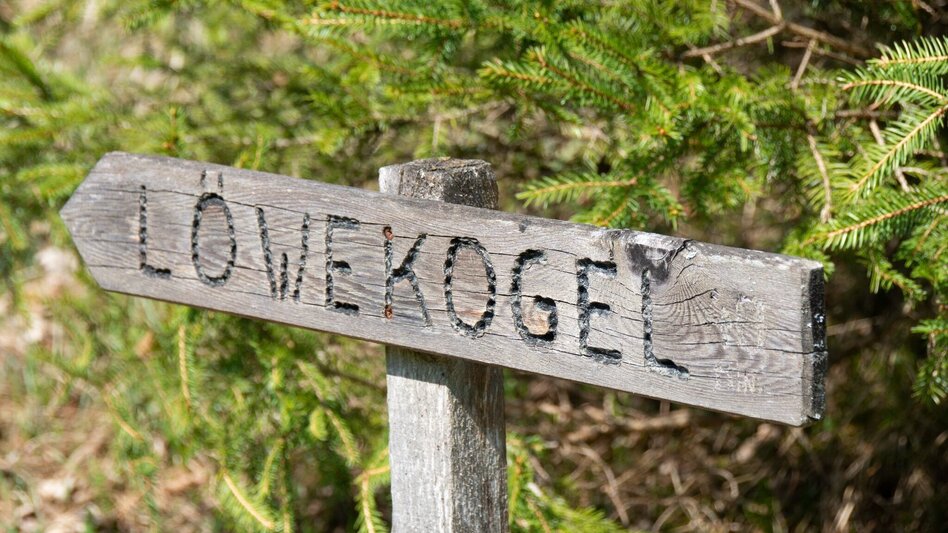 Bergtour Löwekogel Wildalpen - Touren-Impression #2.3 | © TV Gesäuse