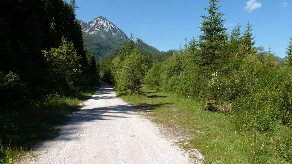 Wanderung Panoramarunde Hinterwildalpen in Wildalpen - Touren-Impression #2.4 | © Tourismusverband Wildalpen