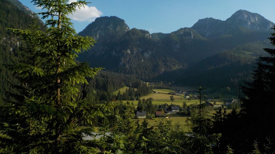 Wanderung Panoramarunde Hinterwildalpen in Wildalpen - Touren-Impression #2.2 | © Tourismusverband Wildalpen
