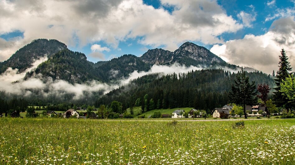 Wanderung Panoramarunde Hinterwildalpen in Wildalpen - Touren-Impression #2.7 | © TV Gesäuse