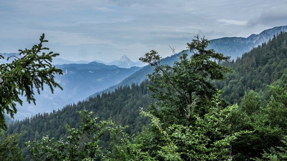 Bergtour Tremel - Ringkogel / Wildalpen - Touren-Impression #2.9 | © TV Gesäuse