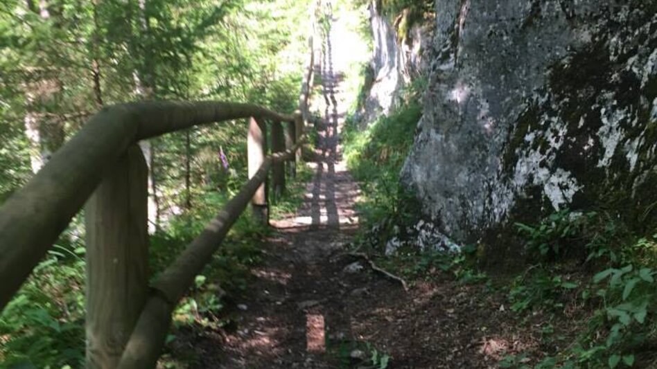 Wanderung Salza Wasserfall - Touren-Impression #2.5 | © Erlebnisregion Schladming-Dachstein
