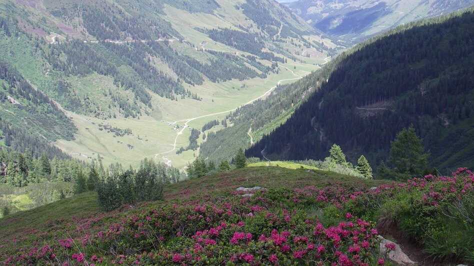 Wanderung Sattental Rundwanderweg - Touren-Impression #2.4 | © Erlebnisregion Schladming-Dachstein