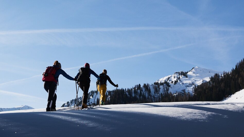 Ski Touring Ski tour to the Bärneck - Touren-Impression #2.6 | © Tourismusverband Grimming-Donnersbachtal