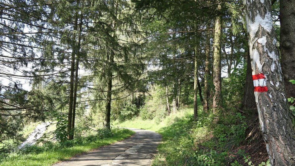 Wanderung Panoramarunde Großlobming - Touren-Impression #2.10 | © WEGES OG