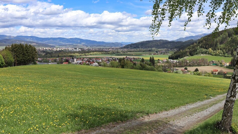 Wanderung Waldrundweg über Reitinger in Großlobming - Touren-Impression #2.3 | © WEGES OG