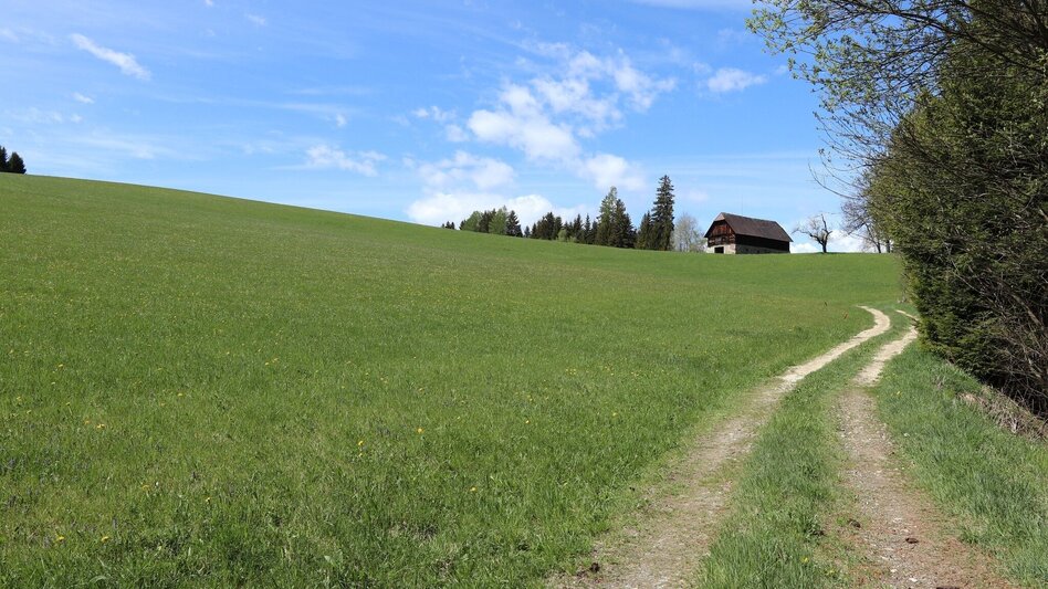 Wanderung Waldrundweg über Reitinger in Großlobming - Touren-Impression #2.7 | © WEGES OG