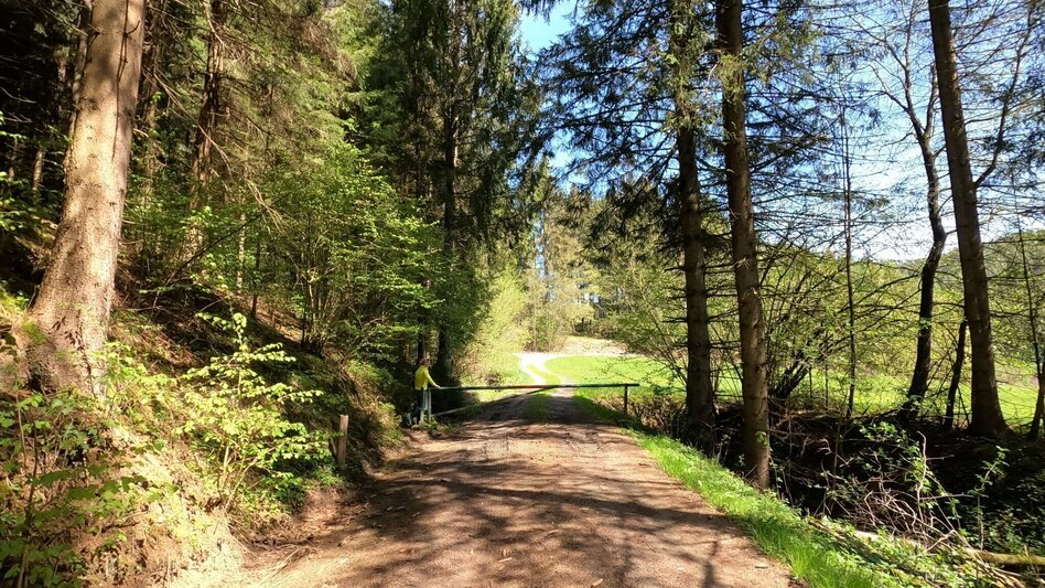 Wanderung Waldrundweg über Reitinger in Großlobming - Touren-Impression #2.8 | © WEGES OG