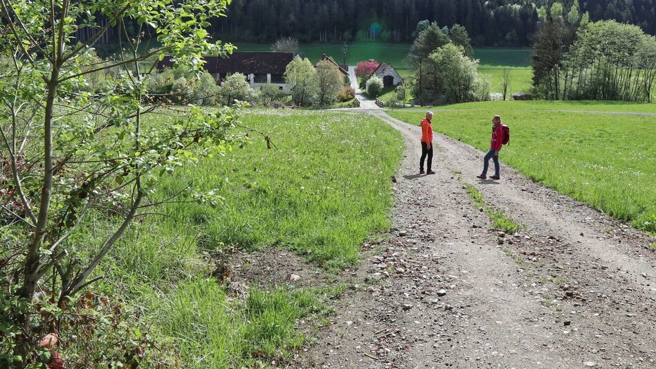 Wanderung Waldrundweg über Reitinger in Großlobming - Touren-Impression #2.9 | © WEGES OG