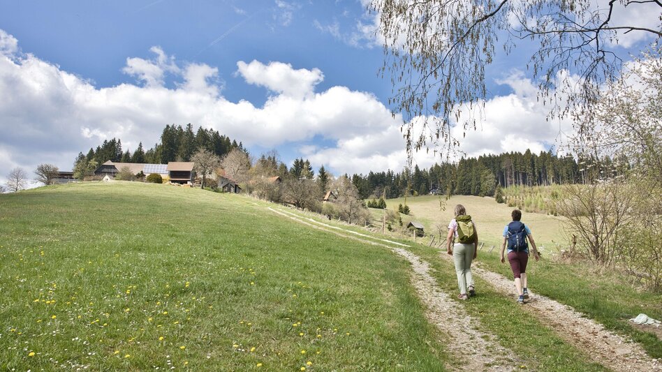 Hiking Route Boden-Rechbergkogel-Greithweg (R10) - Touren-Impression #2.1