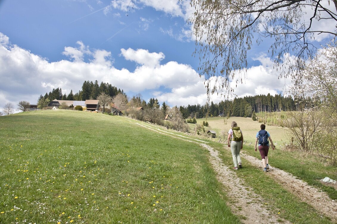 Hiking Route Boden-Rechbergkogel-Greithweg (R10) - Touren-Impression #1